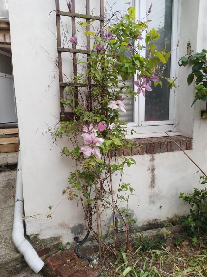 Residence Alexia Saint-Valery-en-Caux Bagian luar foto